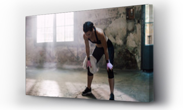 Wizualizacja Obrazu : #231221452 Young female boxer resting after boxing exercise