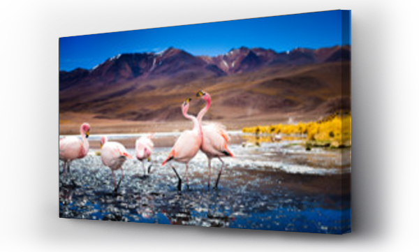 Wizualizacja Obrazu : #231243411 James flamingo