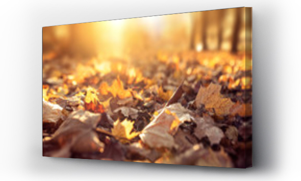 Wizualizacja Obrazu : #232249228 Autumn background with colorful leaves