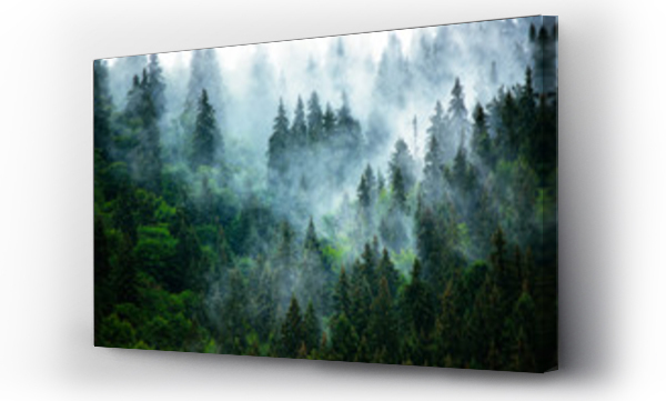 Zamglony krajobraz górski