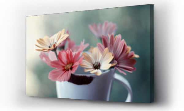 Wizualizacja Obrazu : #233591626 Kolorowe kwiaty w fili?ance