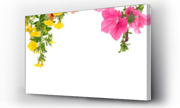 Kwiaty, ramka, różowe, różowe kwiaty, żywe kwiaty