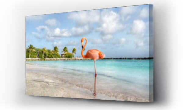 Wizualizacja Obrazu : #235586482 Wyspa Aruba
