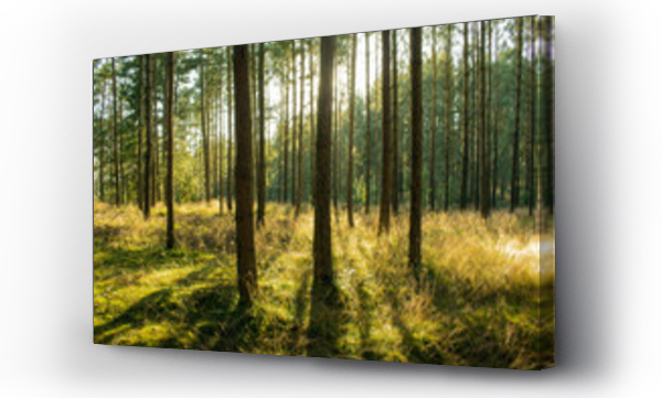 pejzaż, Pejzaż wiejski