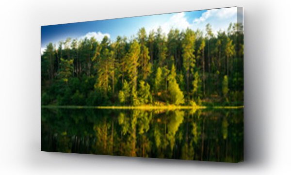 las, pejzaż, zielony