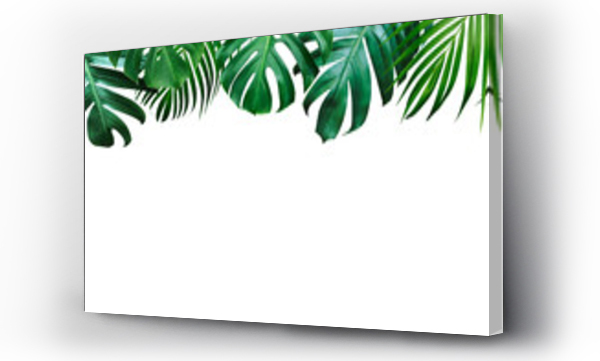 Wizualizacja Obrazu : #242943299 Summer tropical leaves on white background with copy space