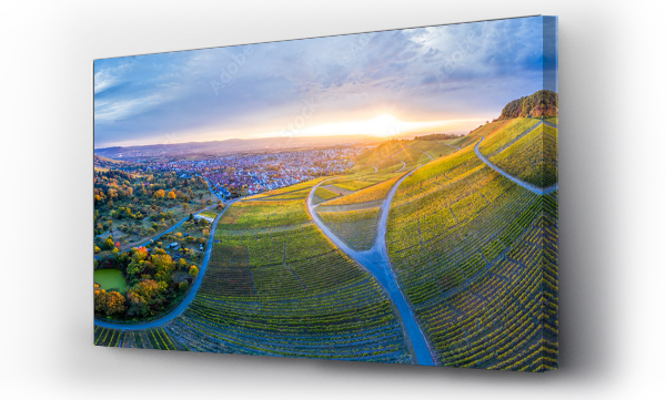 Wizualizacja Obrazu : #243673079 Niemcy, Badenia-Wirtembergia, widok z lotu ptaka na Korber Kopf, winnice o zachodzie słońca jesienią, panorama