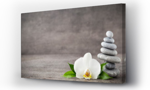 Wizualizacja Obrazu : #244841672 White orchid and spa stones on the grey background.
