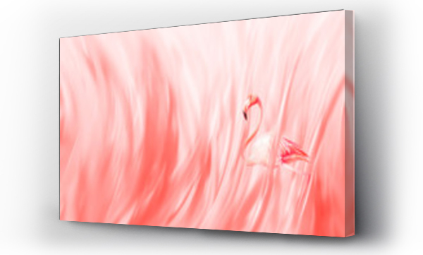 Wizualizacja Obrazu : #246007964 Różowy flaming na delikatnym koralowym abstrakcyjnym tle. Delikatny letni obraz wiosenny w pastelowych kolorach. Miękka ostrość.