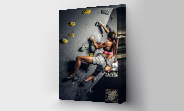 Wizualizacja Obrazu : #246228063 A young woman wearing sportswear practicing rock-climbing on a wall indoors