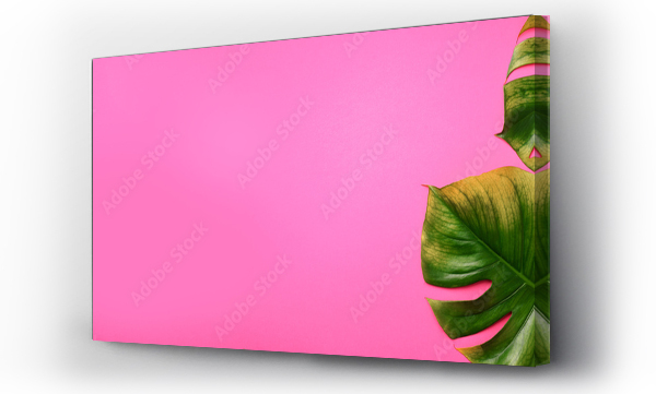 Wizualizacja Obrazu : #248684957 Tropical monstera leaves on pink background. Flat lay, top view. Creative layout. Summer concept. Banner