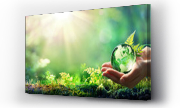 ekologia, green, natura, planeta ziemia, środowiska