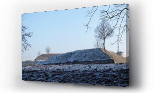 Wizualizacja Obrazu : #249393068 Polskie krajobrazy zima.