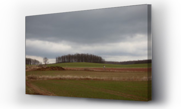 Wizualizacja Obrazu : #249394845 Polskie krajobrazy zima.