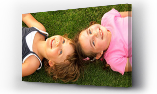 Wizualizacja Obrazu : #24964369 Two smiling girl lying on the grass