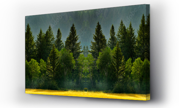 Wizualizacja Obrazu : #250295540 Deszczowa burza w lesie z spadającymi kroplami i bujnymi drzewami