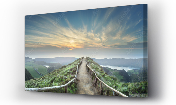 charakter, las, natura, piękne