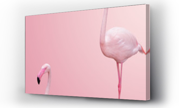 Wizualizacja Obrazu : #252664353 abstract flamingo half body on pink background