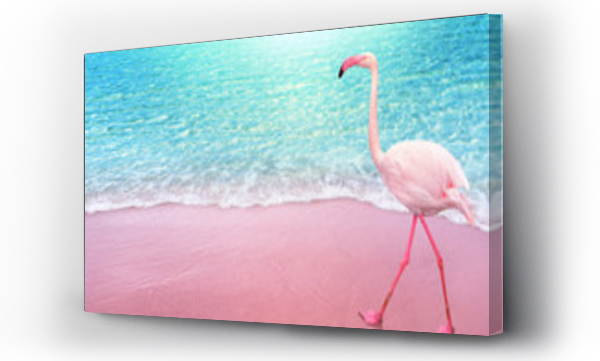 Wizualizacja Obrazu : #252664563 pink flamngo bird sandy beach and soft blue ocean wave summer concept background