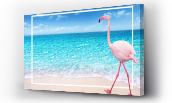 Wizualizacja Obrazu : #252664581 flamingo na piaszczystej plaży i miękkie niebieskie fale oceanu lato koncepcja tło