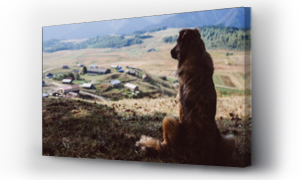 góry, miasto, wieś, zwierzę