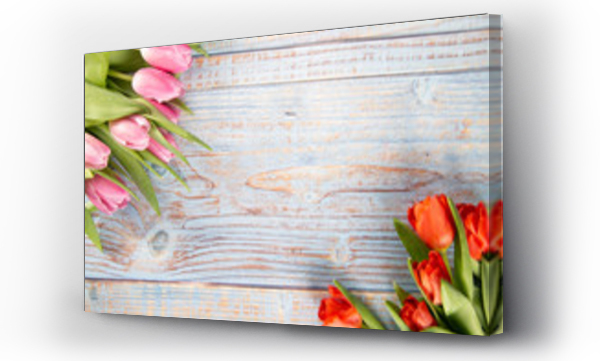 Kolorowe tulipany na drewnianym tle