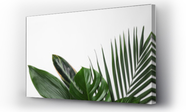 Płaska kompozycja z tropikalnymi liśćmi i miejscem na tekst na białym tle
