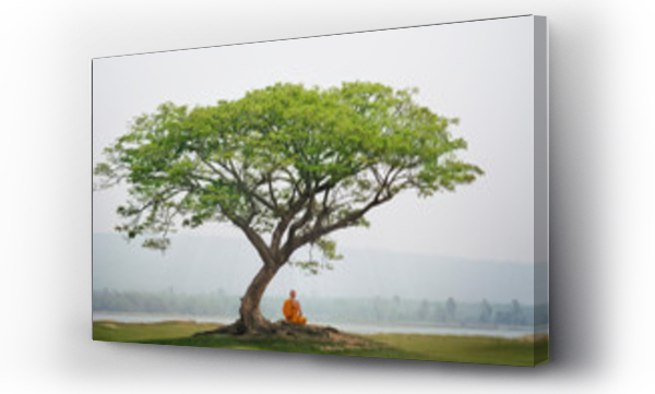 Wizualizacja Obrazu : #256333595 Buddha monk practice meditation under the tree