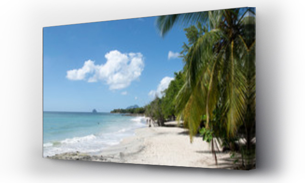 Wizualizacja Obrazu : #257148593 Rajska pla?a. Bia?y piasek, palmy i b?ekitny ocean.