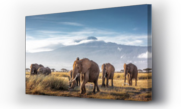 Stado słoni afrykańskich na tle Kilimandżaro