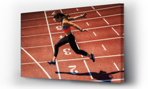 Wizualizacja Obrazu : #258979407 Widok z boku na nastolatkę w sportowym staniku i rajstopach kończącą wyścig na bieżni stadionu.