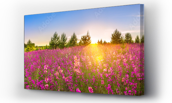 Wizualizacja Obrazu : #259026995  spring landscape panorama with flowering flowers in meadow
