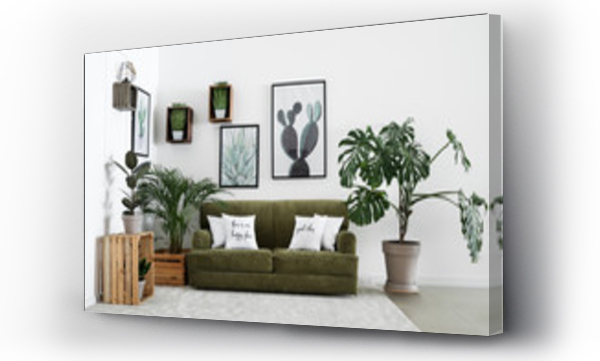 Wnętrze nowoczesnego pokoju z wygodną sofą i roślinami domowymi