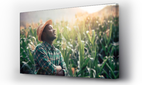 Afrykański rolnik z kapeluszem stoi na polu plantacji kukurydzy