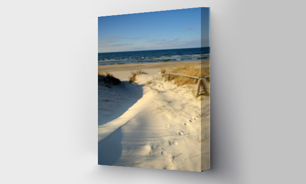 Bałtyk, plaża, trawa piasek