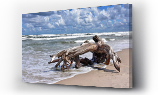 morze, morze bałtyckie, plaża