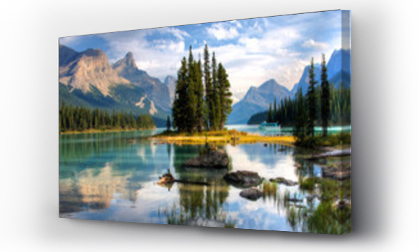 alberta, Forest canada, kanada, natura