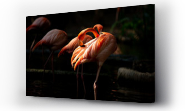 Wizualizacja Obrazu : #265490487 Ameryka flamingo