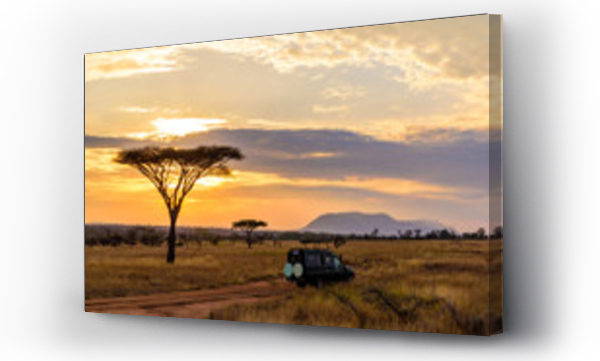 Wizualizacja Obrazu : #266330401 Sunset in savannah of Africa with acacia trees, Safari in Serengeti of Tanzania