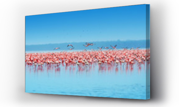 Wizualizacja Obrazu : #26651853 African flamingos