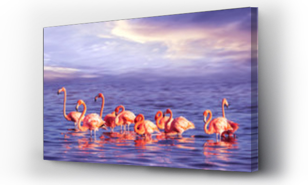 Wizualizacja Obrazu : #266600654 Stado pięknych różowych flamingów na purpurowy zachód słońca. Artystyczny morski tropikalny obraz.