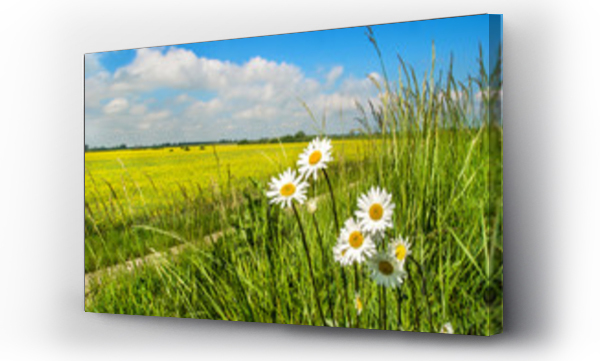 Kwiaty, piękny krajobraz