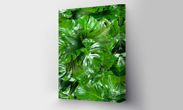 Wizualizacja Obrazu : #269998704 Seamless green tropical jungle plant leaves pattern background. Close up of bouquets of various fresh palm and monstera greenery. Summer texture.