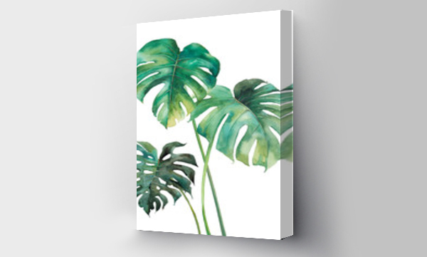 Akwarela tropikalne liście plakat. Ręcznie malowane egzotyczne zielone gałęzie izolowane na białym tle. Letnie rośliny ilustracja