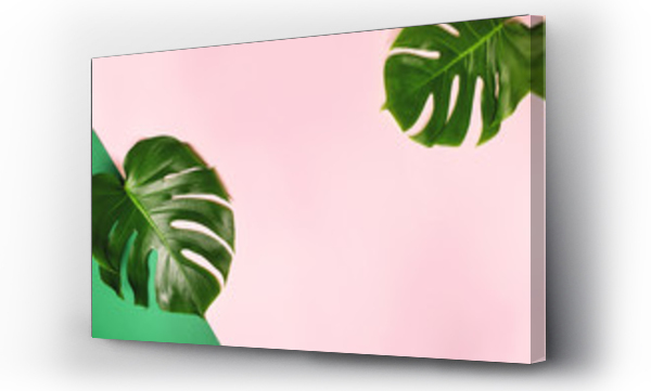 Wizualizacja Obrazu : #270108294 Tropical monstera leaves on pink background.