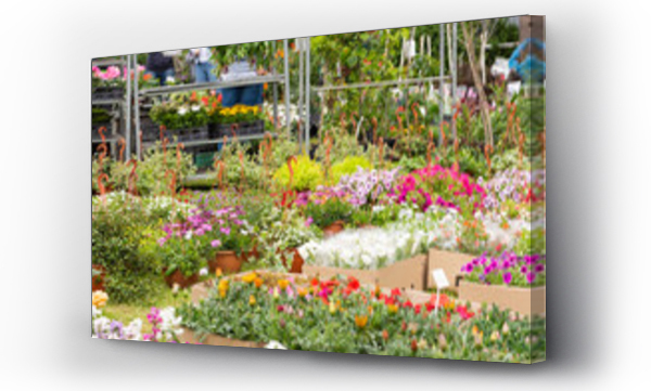 Kiermasz ro?lin ogrodowych. Kwiaty ogrodowe