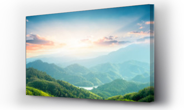 Beautiful meadow, natura