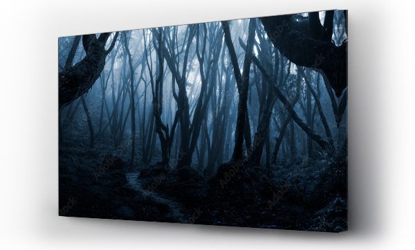 ciemny, las, zaczarowana