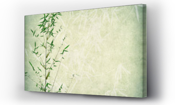 Wizualizacja Obrazu : #273894874 bambus na tle starego papieru