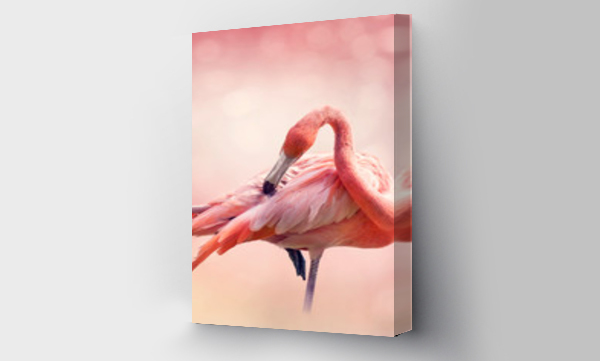 Portret różowego flaminga